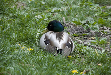 Similar image 125597