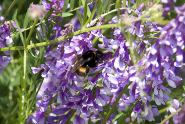 Similar image 125612