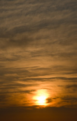 Similar image 125614