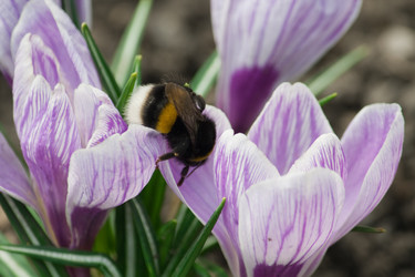 Similar image 125619