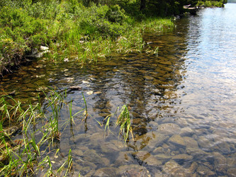 Similar image 125620