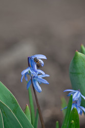 Similar image 125621