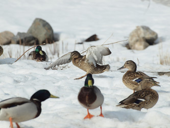 Similar image 125624