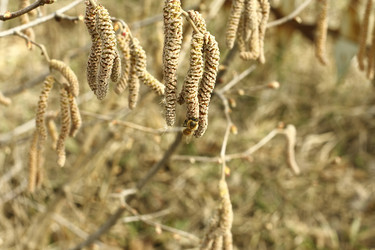 Similar image 125632