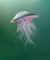 Similar image 125635