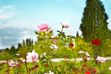 Similar image 125640