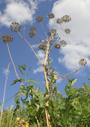 Similar image 125657