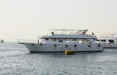 Similar image 125696