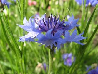 Similar image 125699