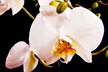 Similar image 125705