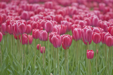 Similar image 125714