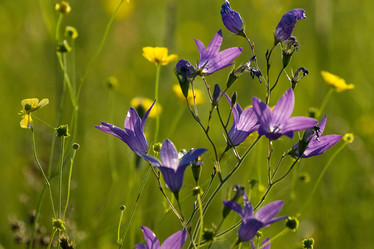 Similar image 125725