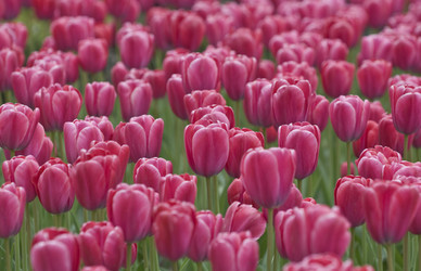 Similar image 125732