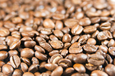 Similar image 125788