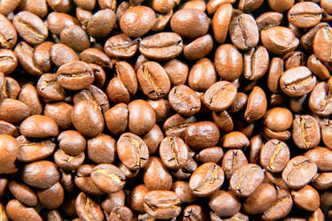 Similar image 125790