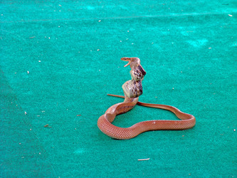 Similar image 125813