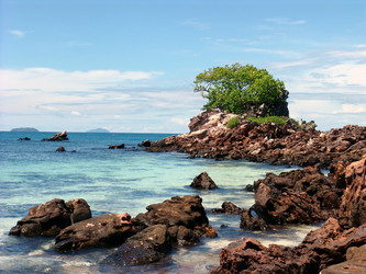 Similar image 125819