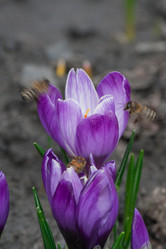 Similar image 125848