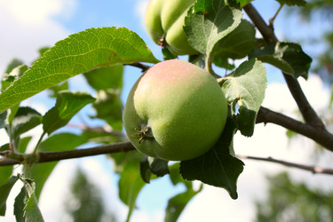 Similar image 125872