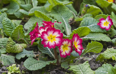 Similar image 125878