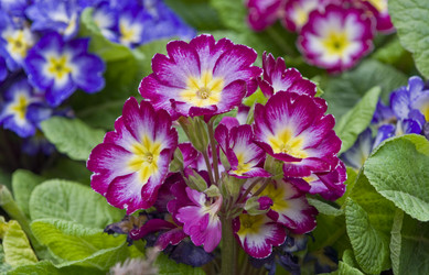 Similar image 125879