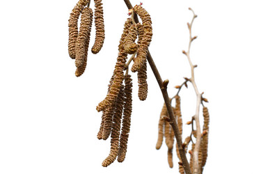 Similar image 125882