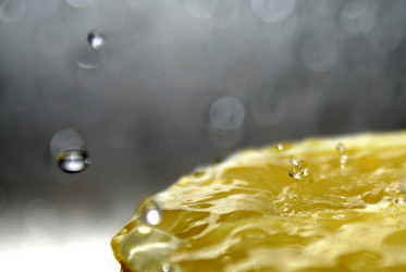 Similar image 125916