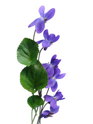 Similar image 125922