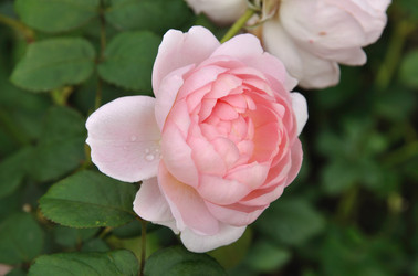 Similar image 125941