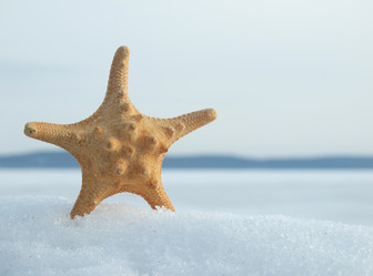 Similar image 125942