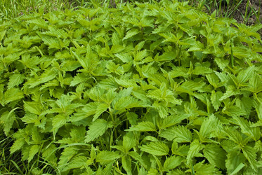 Similar image 125968