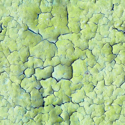 Similar image 125989