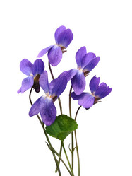 Similar image 126023