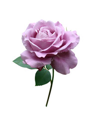 Similar image 126024