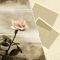 Similar image 126059