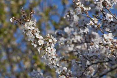 Similar image 126097