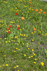 Similar image 126112