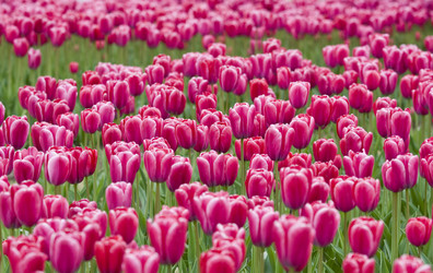 Similar image 126114