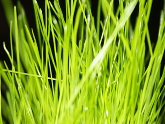 Similar image 126130