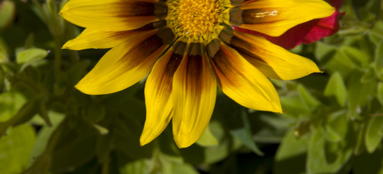 Similar image 126152