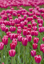 Similar image 126155