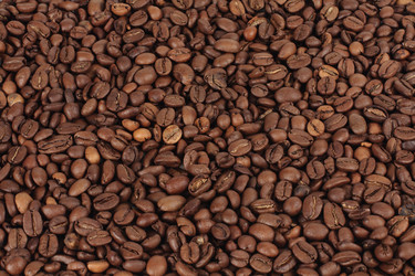 Similar image 126157