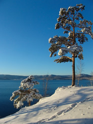 Similar image 126161