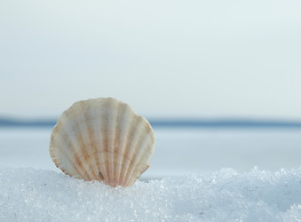 Similar image 126162