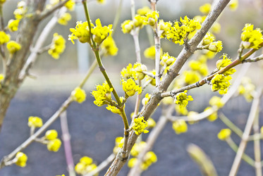 Similar image 126163