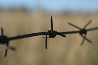 Similar image 126168