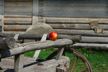 Similar image 126170