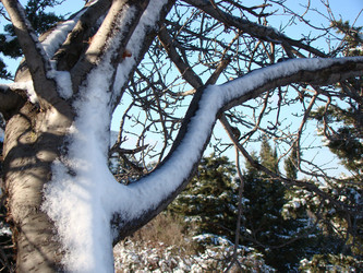 Similar image 126187