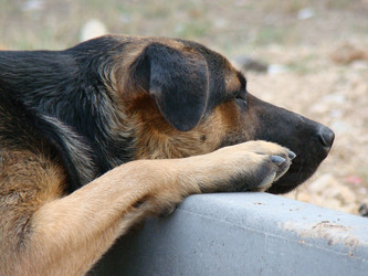 Similar image 126207