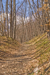 Similar image 126217